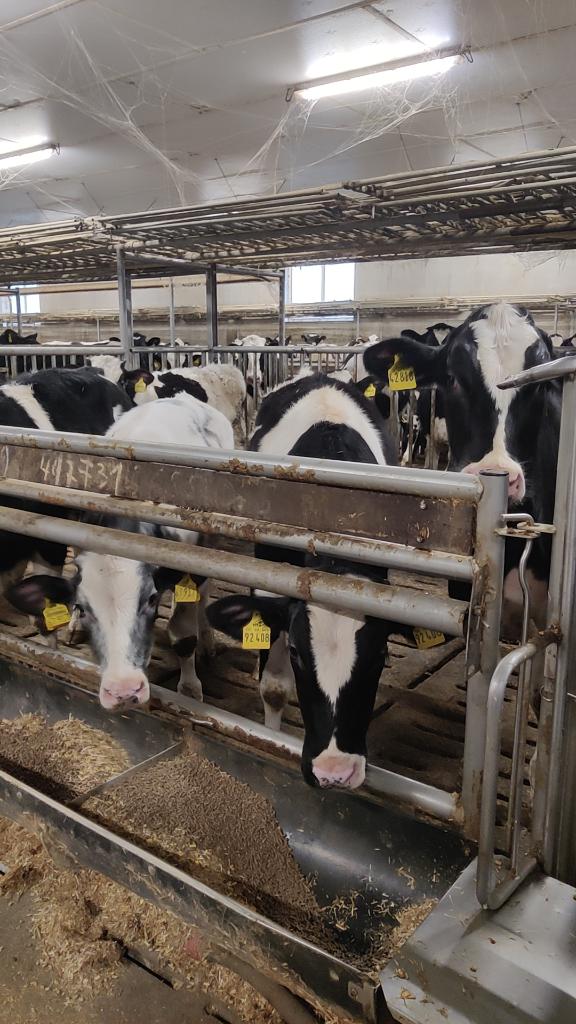 Ag Assist - Lieselotte Bockhorst