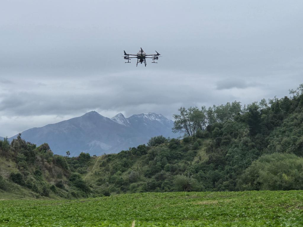 Ag Assist - North Canterbury Drone Service's