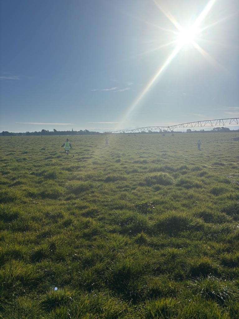 Ag Assist - Dairy Farm Assistant