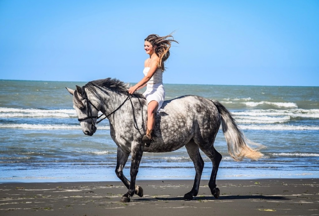 Ag Assist - Melody Harrison