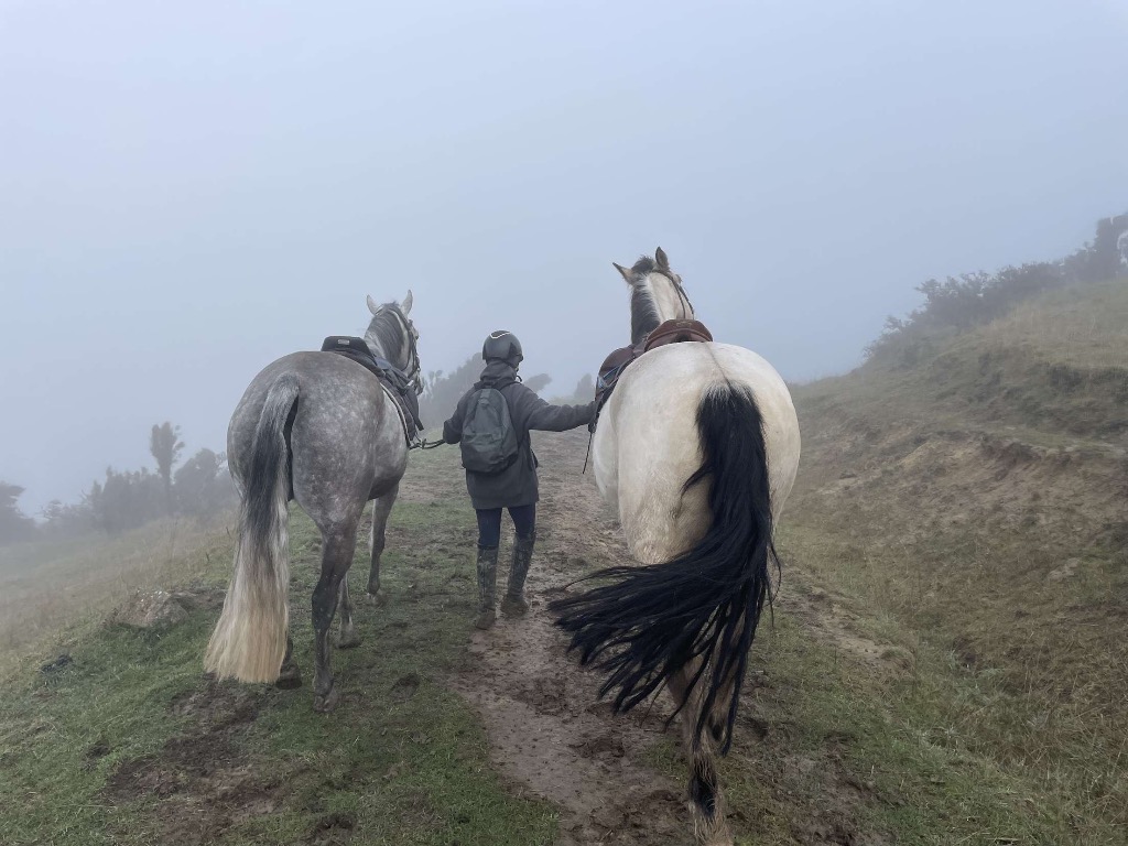 Ag Assist - Melody Harrison