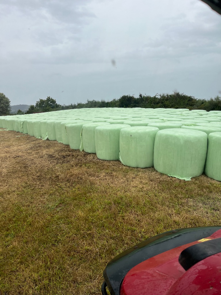 Silage bales