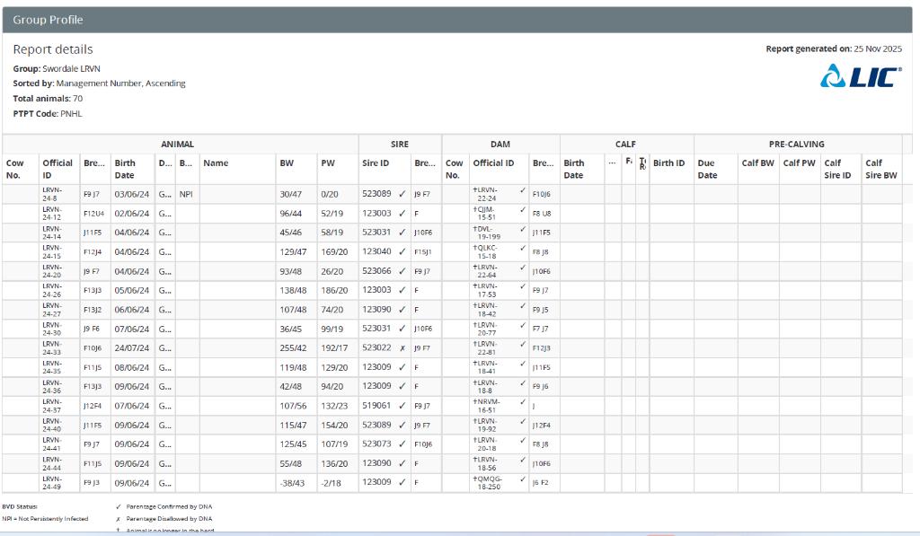Ag Assist - DNA Tested In calf Heifers For Sale