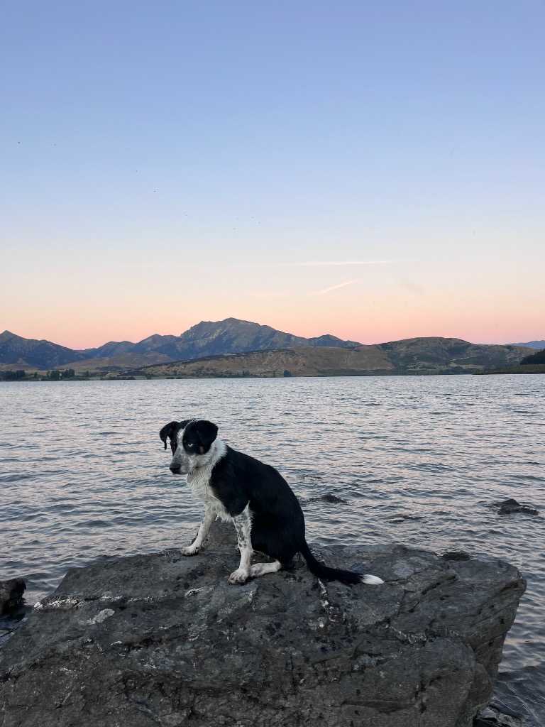 Ag Assist - Caitlin McConnell