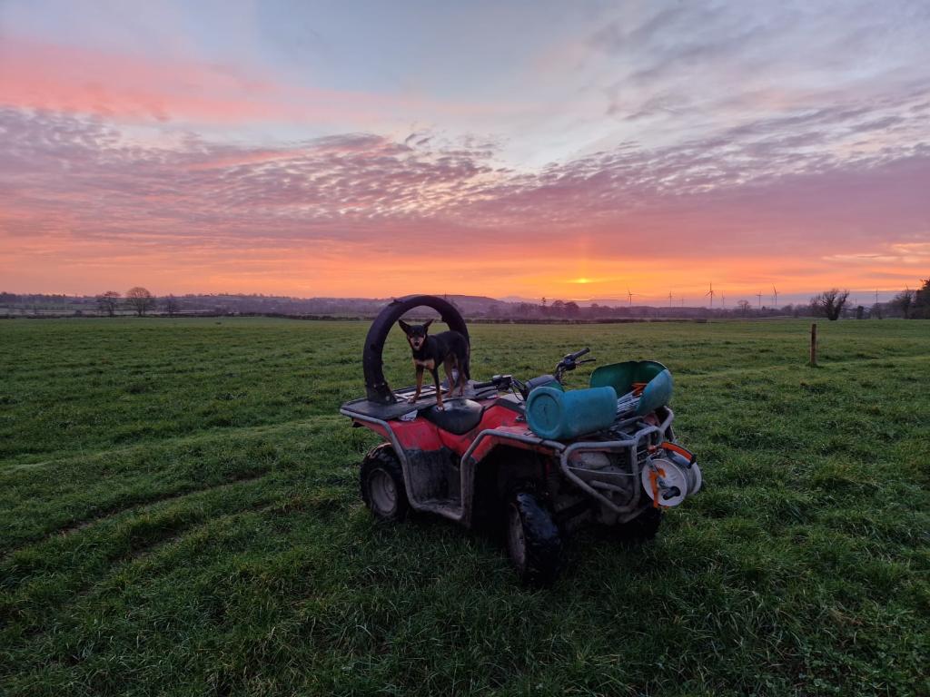 Ag Assist - 2IC Wanted in Ireland