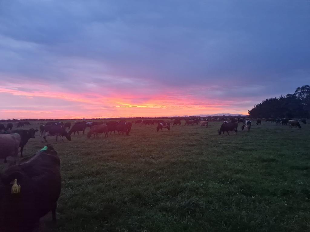 Ag Assist - 2IC Wanted in Ireland