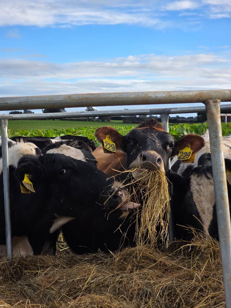 Ag Assist - General Farm Assistant