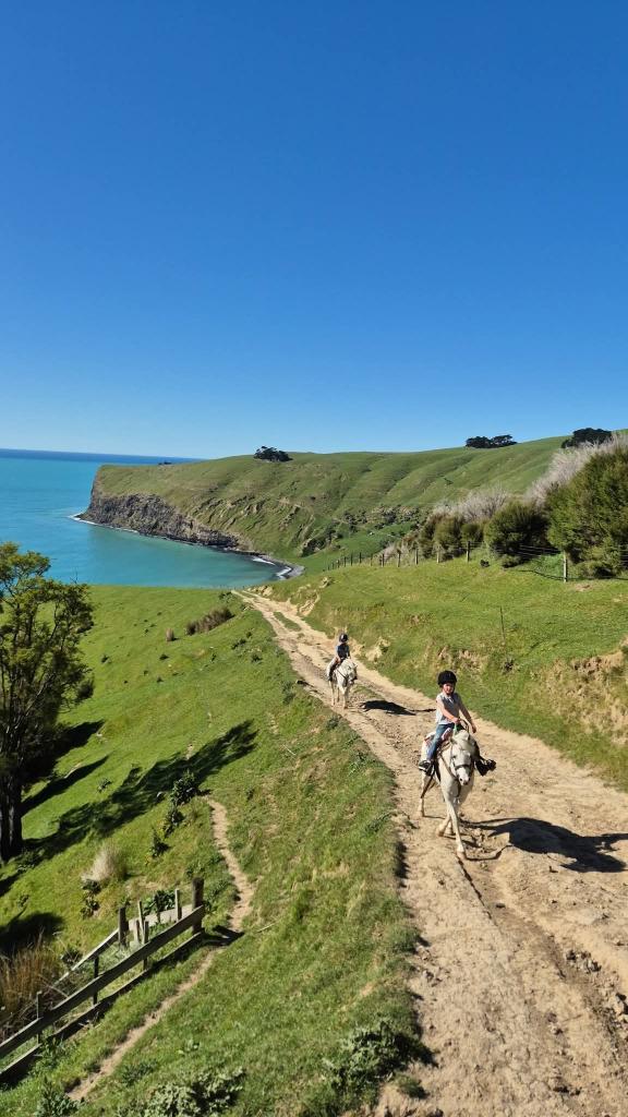 General Farm Worker & Au Pair Wanted