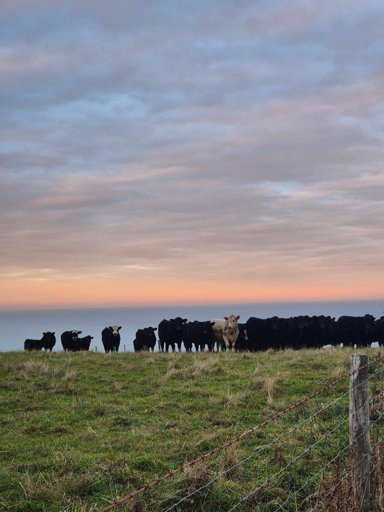 Ag Assist - General Farm Worker & Au Pair Wanted