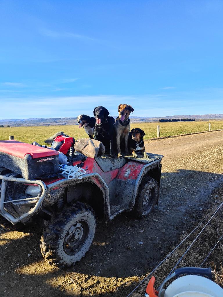 Ag Assist - Reliable & Experienced Agricultural Relief Gofers