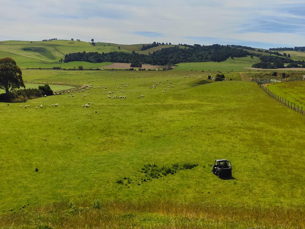 Ag Assist - Reliable & Experienced Agricultural Relief Gofers