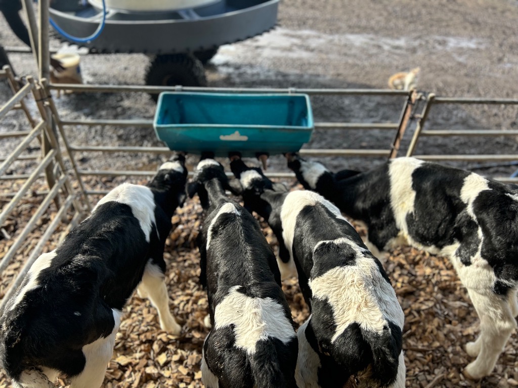 Ag Assist - Leila Macleod