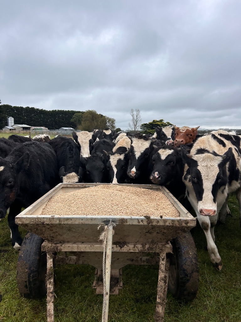 Ag Assist - Leila Macleod