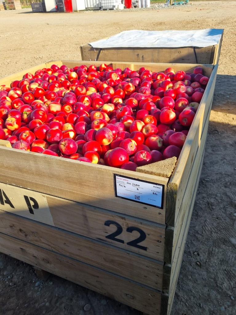 Ag Assist - Orchard Supervisor