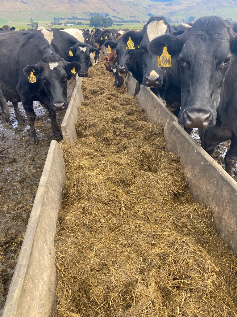 Ag Assist - Stan Gibson