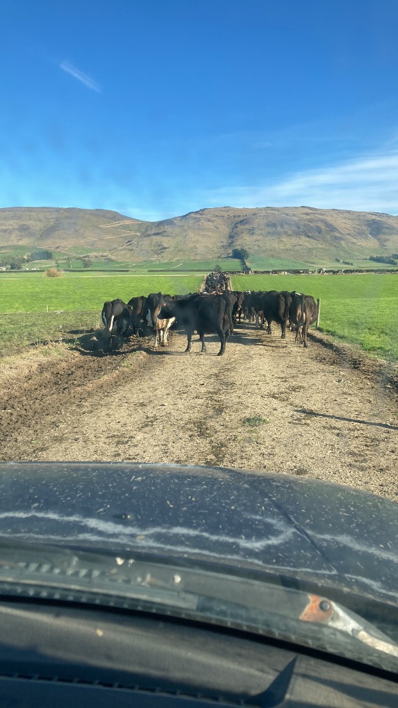 Ag Assist - Stan Gibson