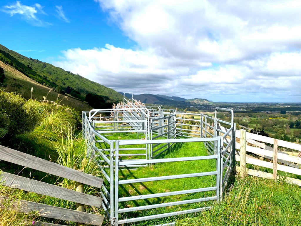 Ag Assist - FARMQUIP Cattle Yards
