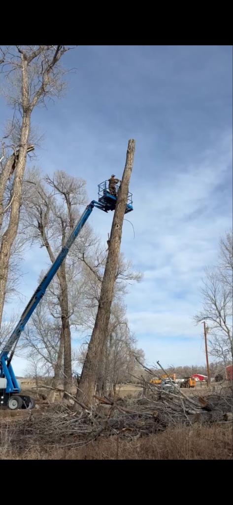 Ag Assist - Jacob Anderson