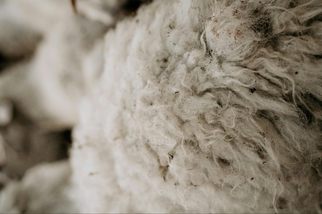 Ag Assist - Wool Operations Representative Christchurch