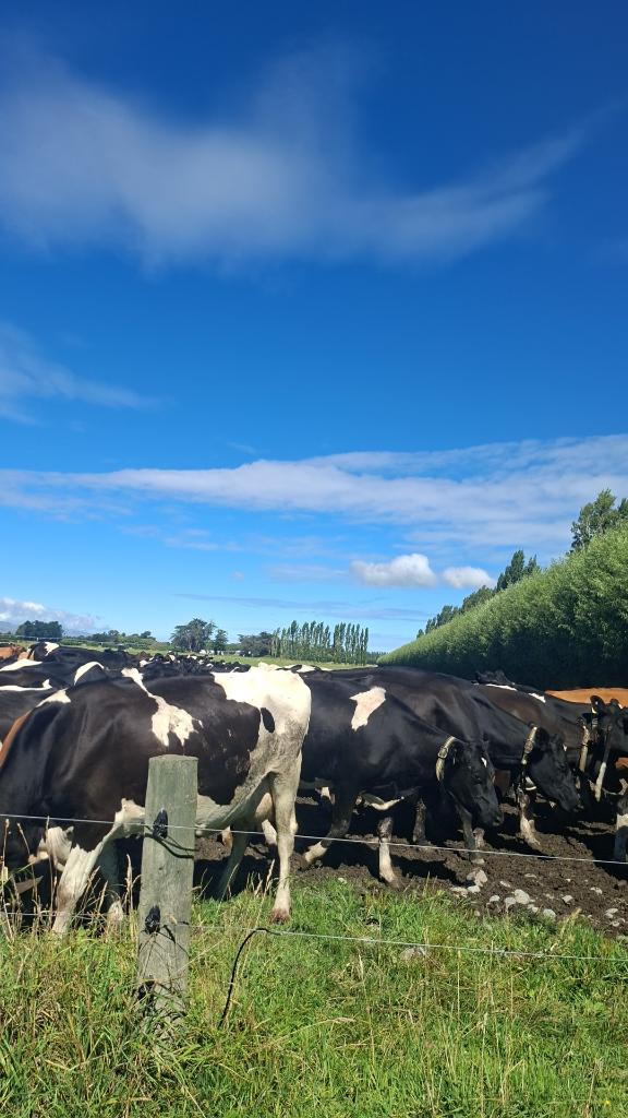 Ag Assist - Liam Grainsford