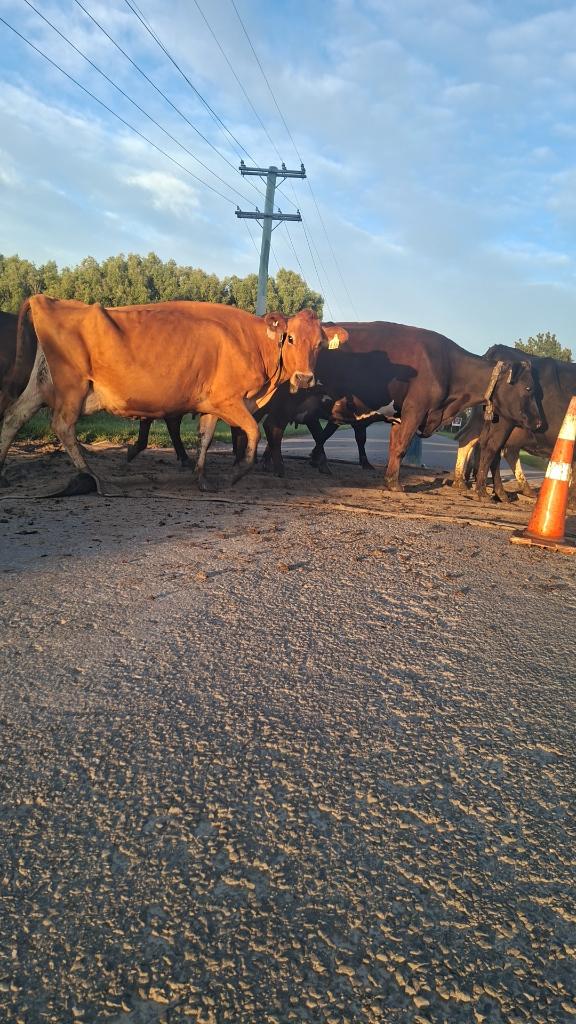 Ag Assist - Liam Grainsford