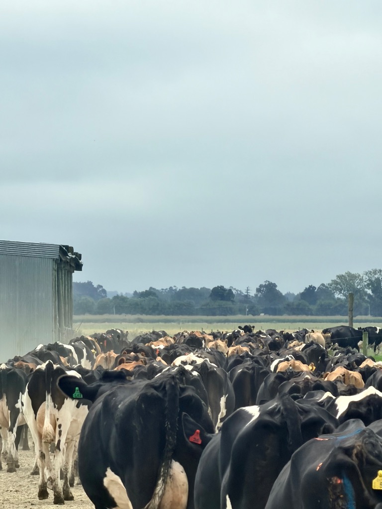 Ag Assist - Kristiana Soroka