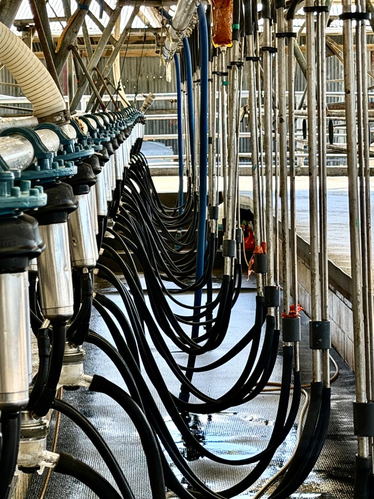 Ag Assist - Kristiana Soroka