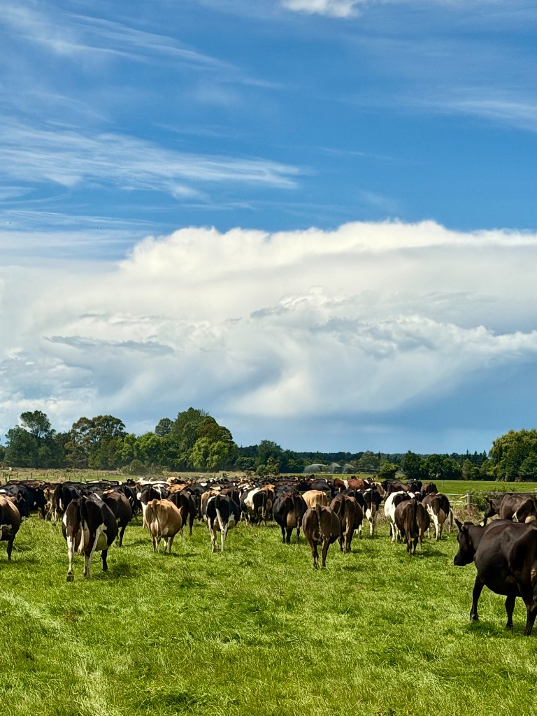 Ag Assist - Kristiana Soroka