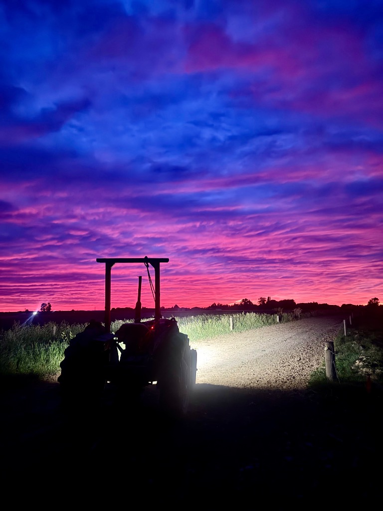 Ag Assist - Kristiana Soroka