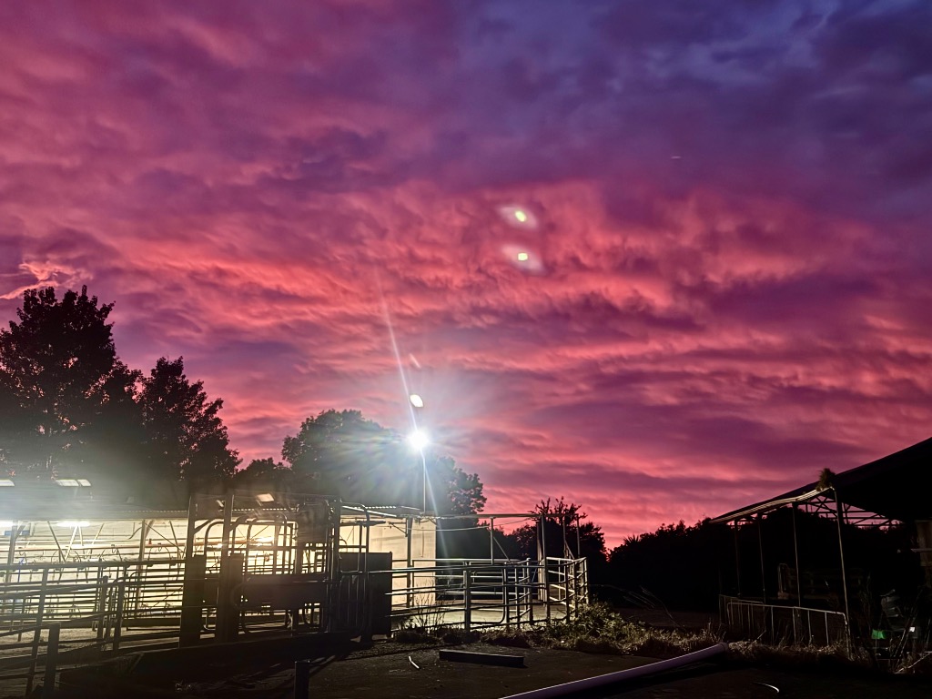 Ag Assist - Kristiana Soroka