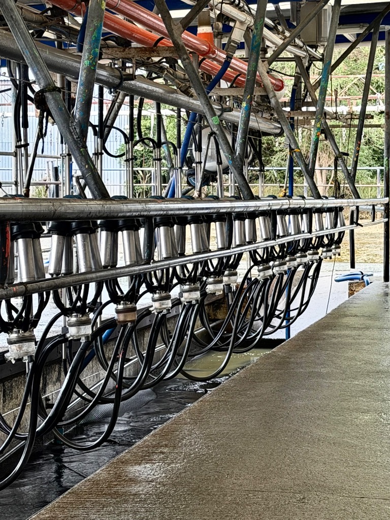 Ag Assist - Kristiana Soroka