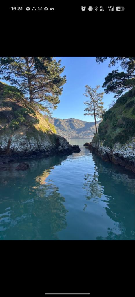 Ag Assist - Daniel Stronach