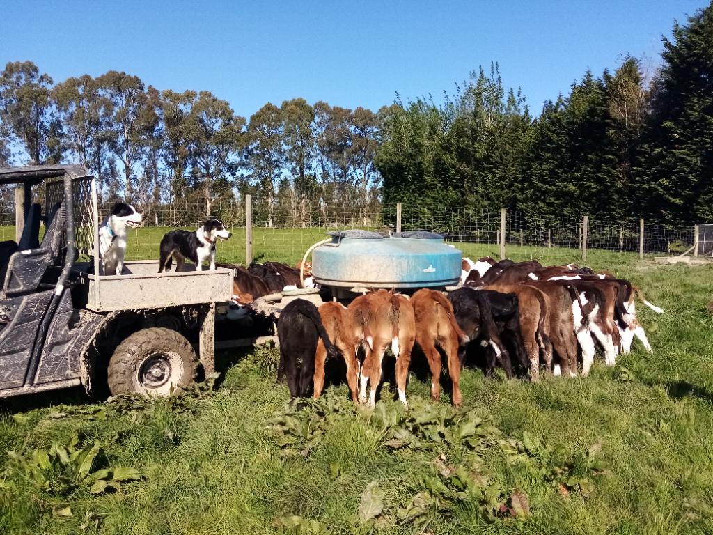 Ag Assist - Jasmine Mackay