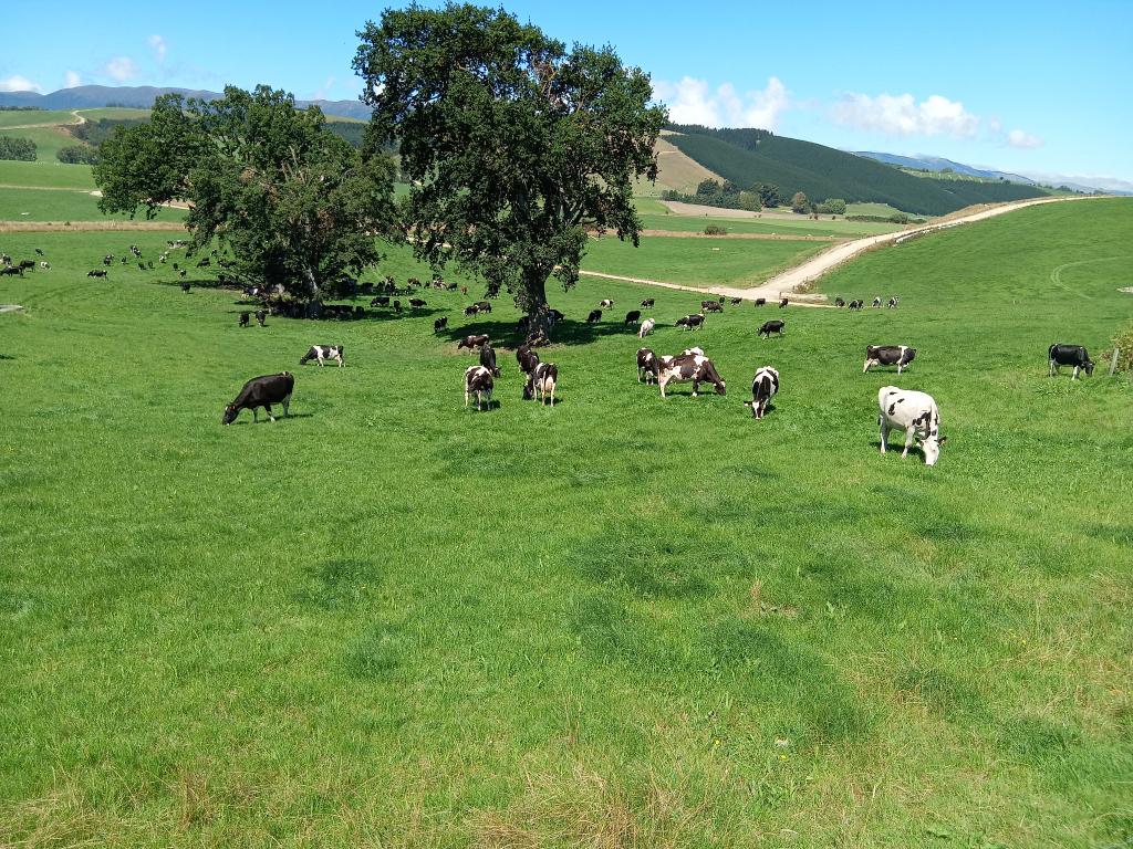 Ag Assist - Dairy farn assistant