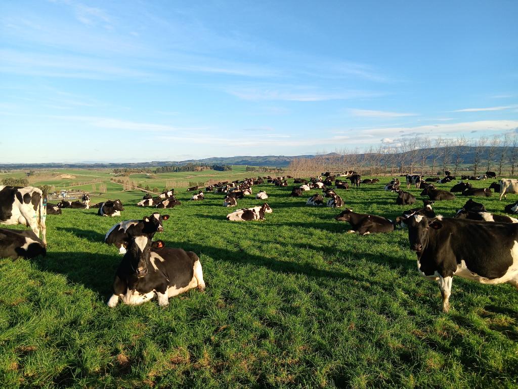 Ag Assist - Dairy farn assistant