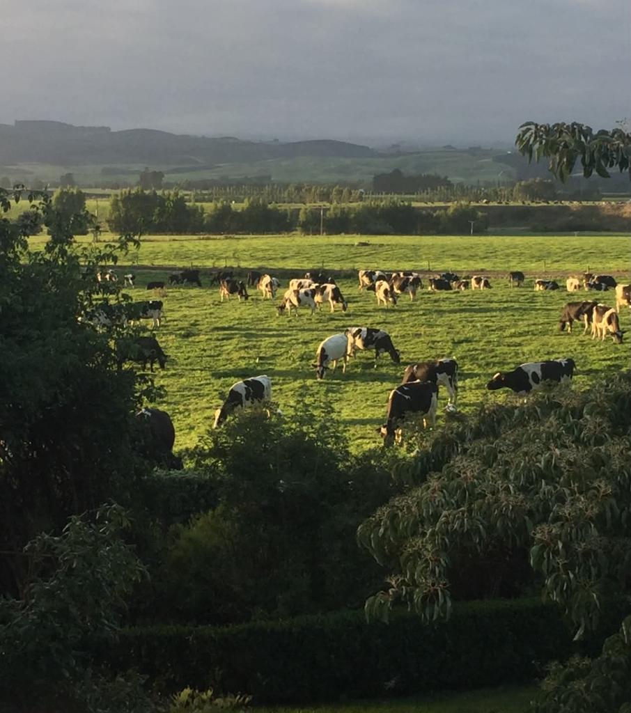 Ag Assist - Dairy farn assistant