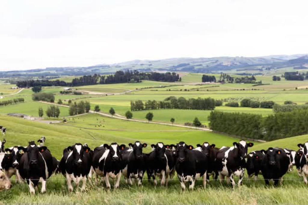 Ag Assist - Dairy farn assistant