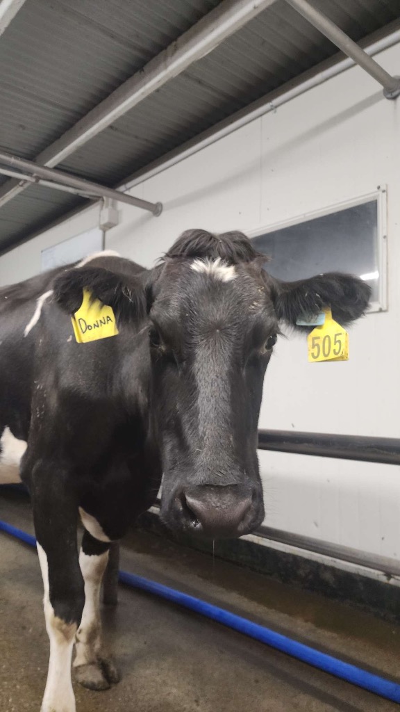 Ag Assist - Maia-Jane Williams