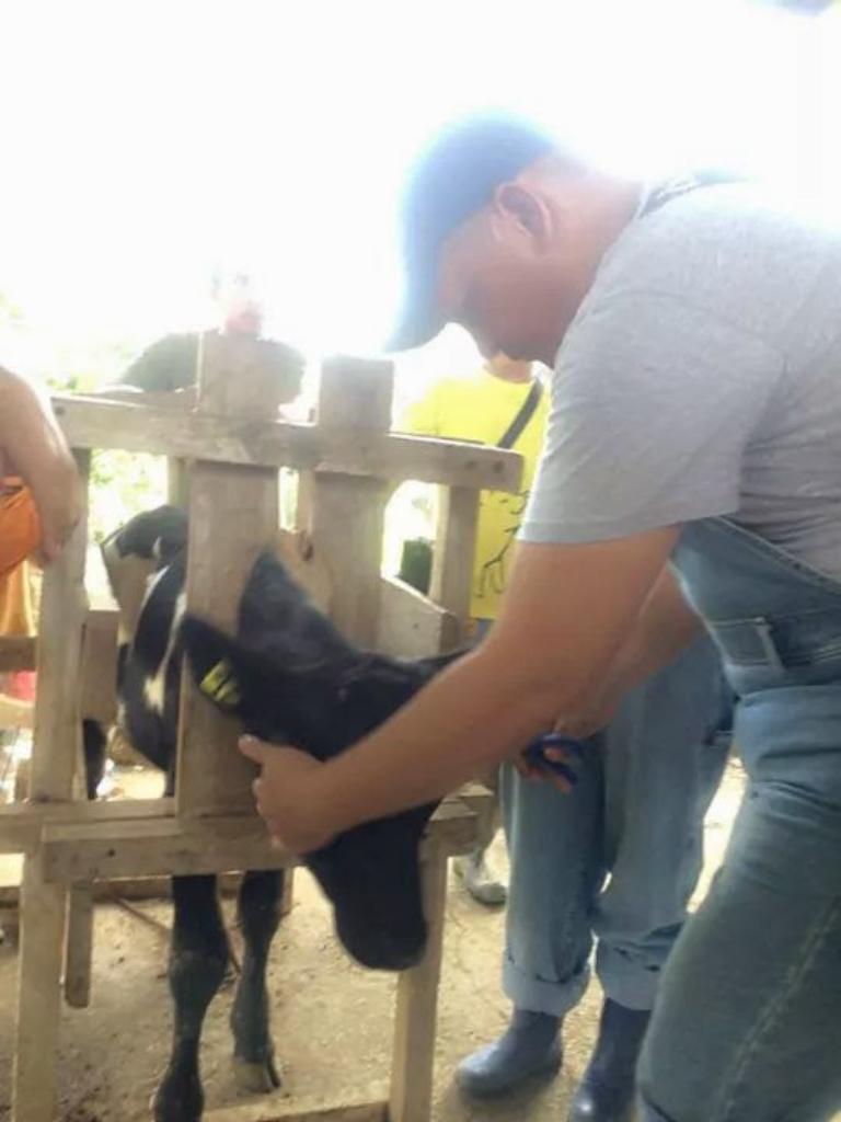 Ag Assist - Tirso Cavite