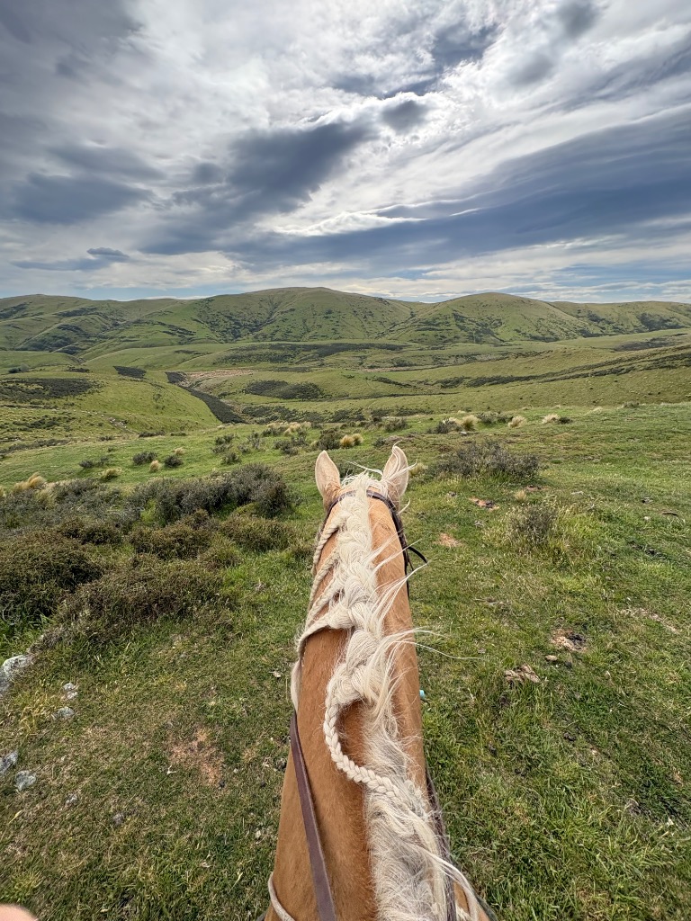 Ag Assist - Phillip Hug de Belmont