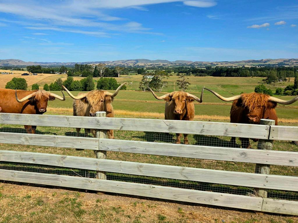 Ag Assist - Small Block Livestock