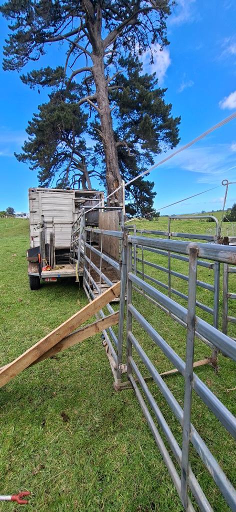 Ag Assist - Small Block Livestock