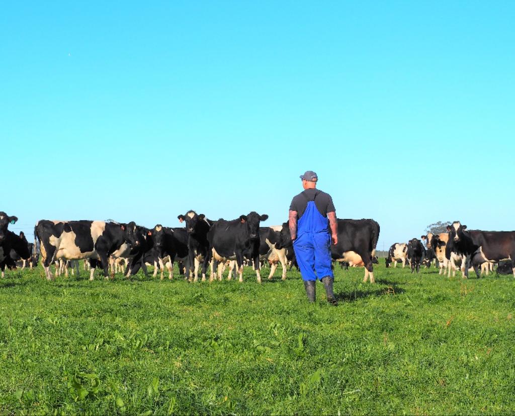 EOI: Senior Dairy Farm Assistant at Cowland Ltd, Ashburton