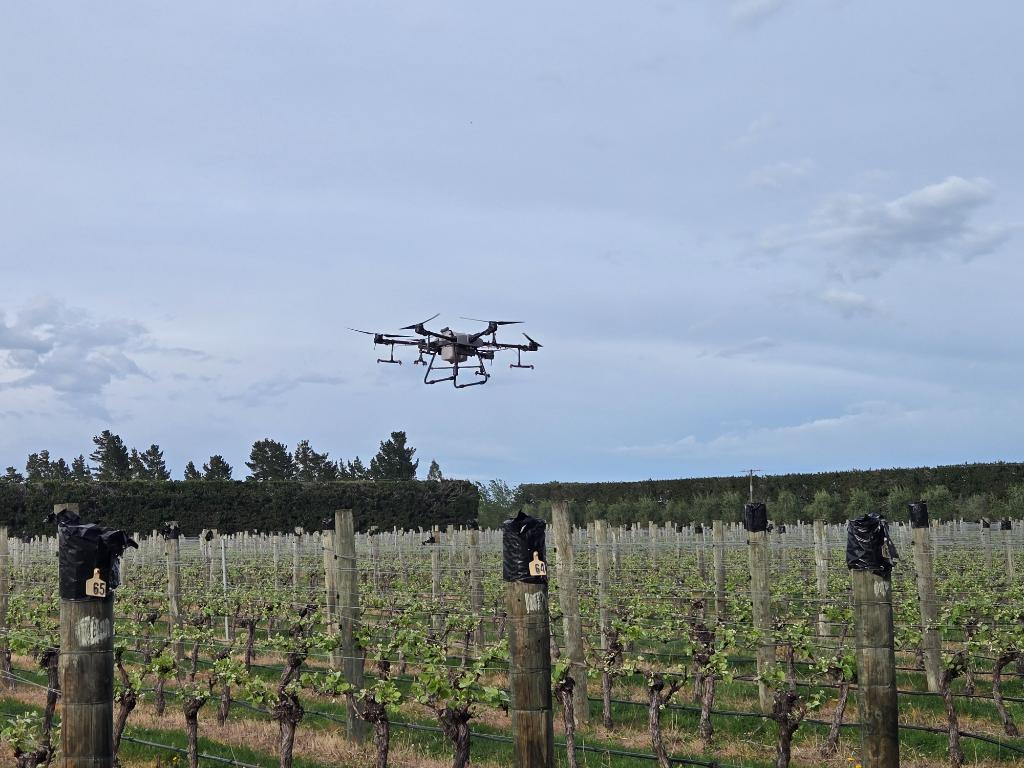 Ag Assist - North Canterbury Drone Services