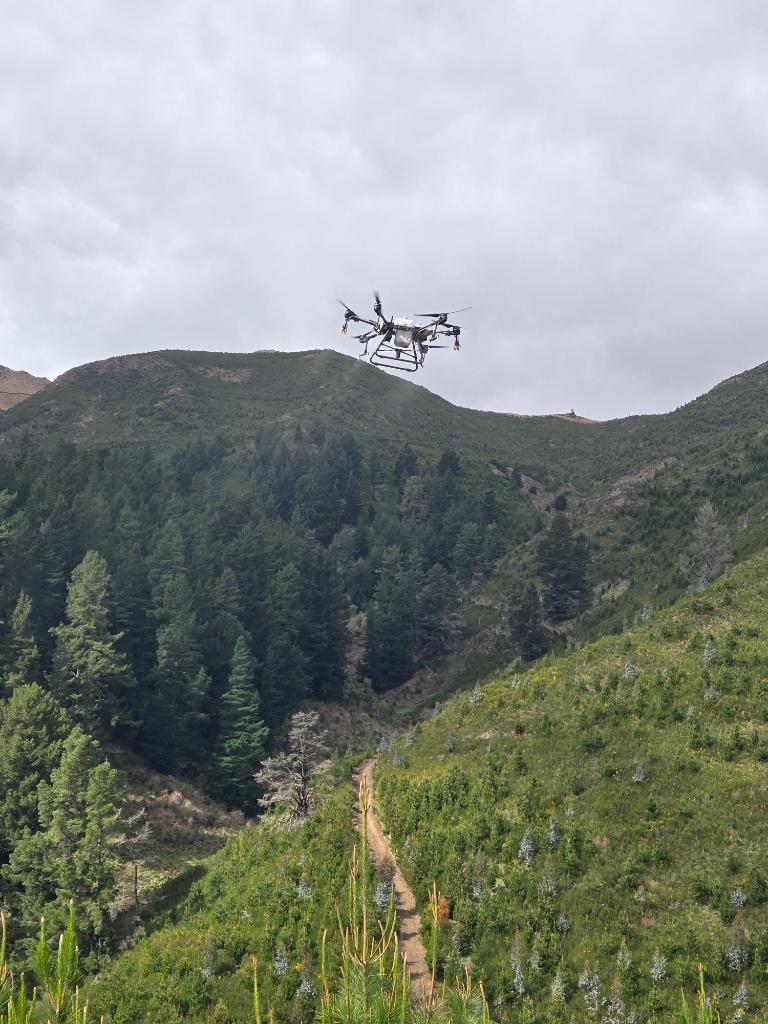 Ag Assist - North Canterbury Drone Services