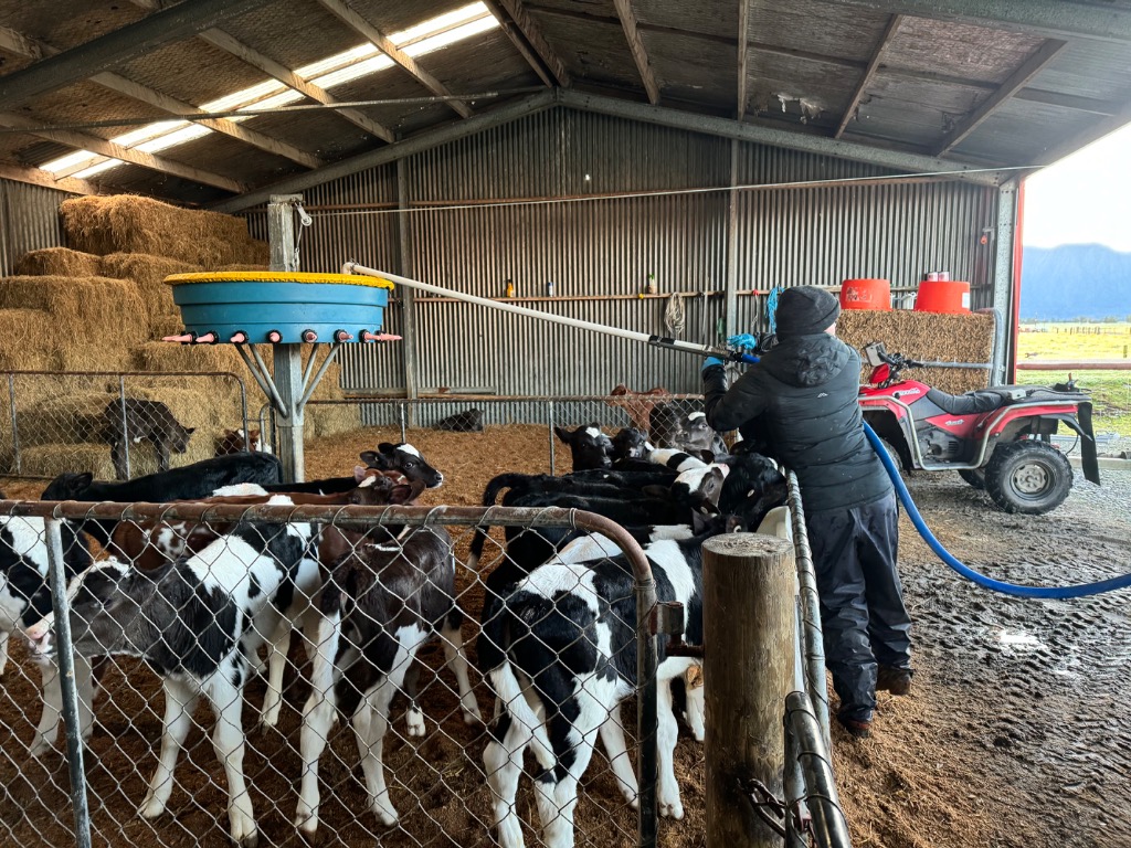 Ag Assist - Holly Manera