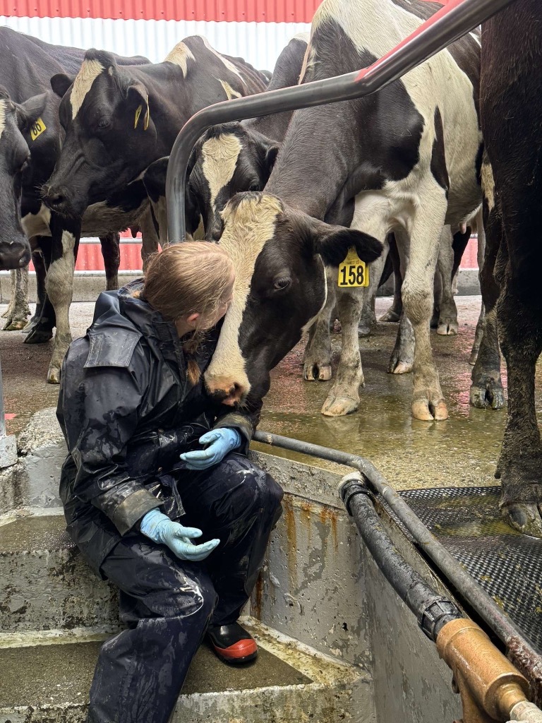 Ag Assist - Holly Manera