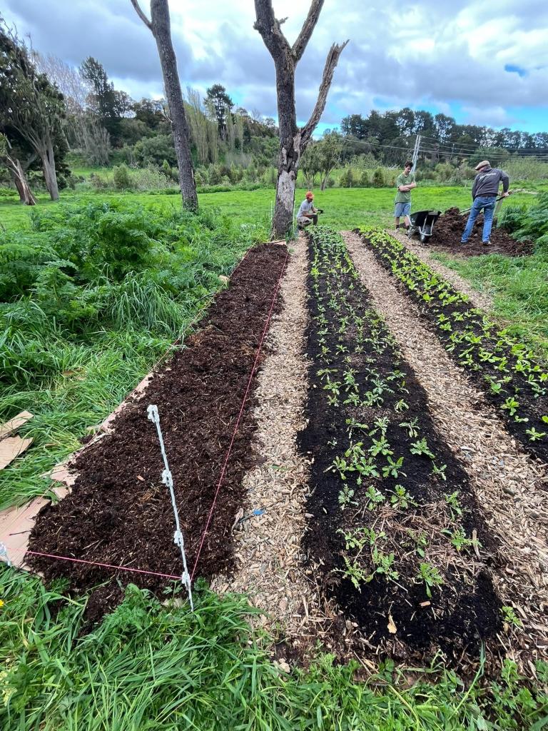 Farm composting pilot & market-garden setup – Queenstown Lakes / Central Otago