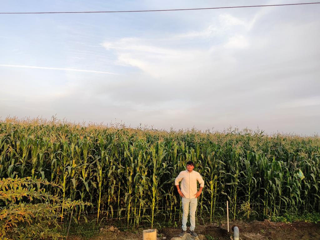 Ag Assist - Kamlesh  Chaudhary