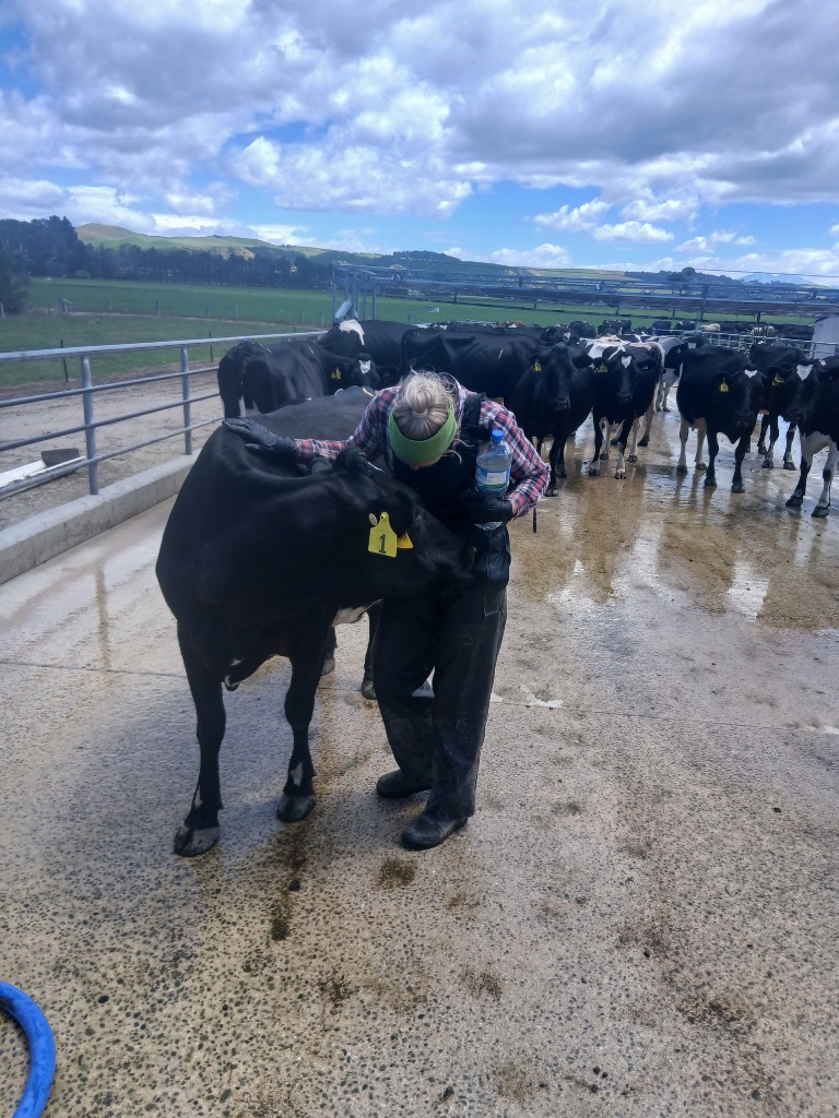 Ag Assist - Angelique Van den Berg